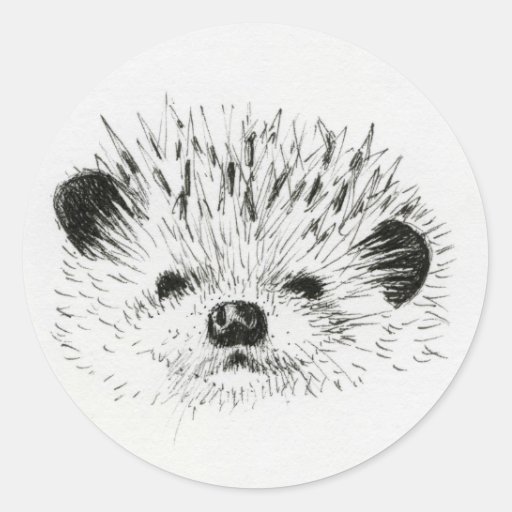 Cute Hedgehog drawing Classic Round Sticker | Zazzle