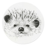 Cute Hedgehog drawing Sticker
