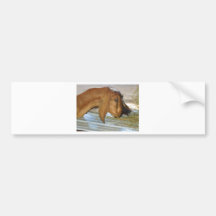 Cute hungry goat bumper stickers