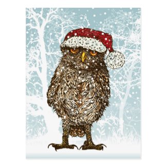 Cute Illustration of an Owl wearing a Santa Hat Postcard