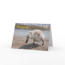 Cute "I'm sorry" Card