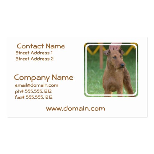 Cute Irish Terrier Business Card (front side)