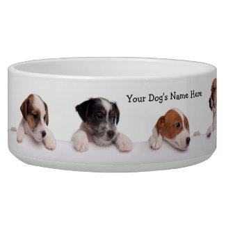 Cute Jack Russell Puppies Waiting For Their Food zazzle_petbowl