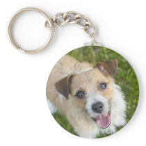Cute Jack Russell terrier dog photo keychain