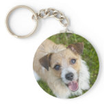 Cute Jack Russell terrier dog photo keychain