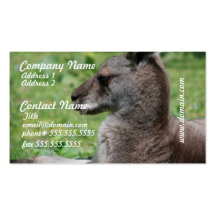 Cute Kangaroo Business Cards