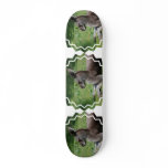 Cute Kangaroo Skateboard