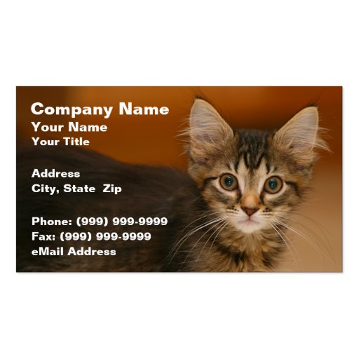 Cute Kitten Against a Brown Background Business Card Templates (front side)