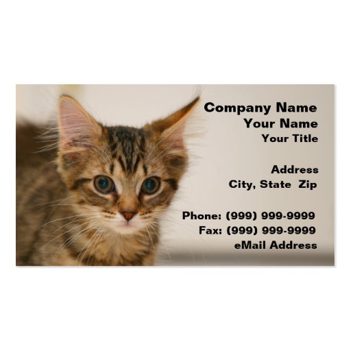 Cute Kitten Against an Off-White Background Business Card Templates (front side)