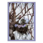 Cute kitten and bird nest Easter or Spring Greeting Card