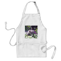 Cute Kitten aprons
