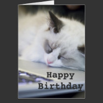 Cute Kitten Asleep Happy Birthday Card cards