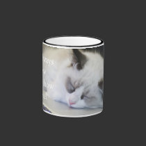 Cute Kitten Asleep with funny caption mugs