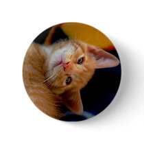 Cute Kitten Button