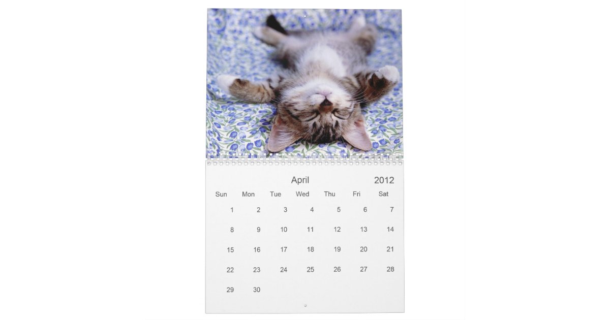 Cute Kitten Calendar | Zazzle