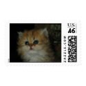 Cute Kitten Cat US Postage postage
