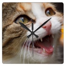 Cute Kitten Clock