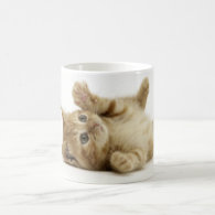 Cute Kitten Coffee Mug
