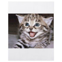 Cute Kitten Flyers