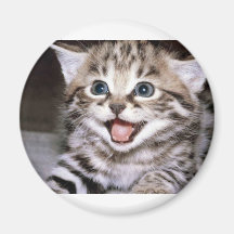 Cute Kitten Fridge Magnet