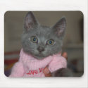 Cute Kitten in Sweater mousepads by josephrmays Cute Kitten in Sweater mousepads