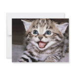 Cute Kitten Invitation