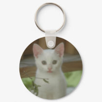 Cute Kitten keychains