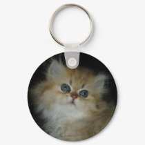 Cute Kitten Keychain Key Chain by dizzypixels Cute Kitten Keychain Key Chain