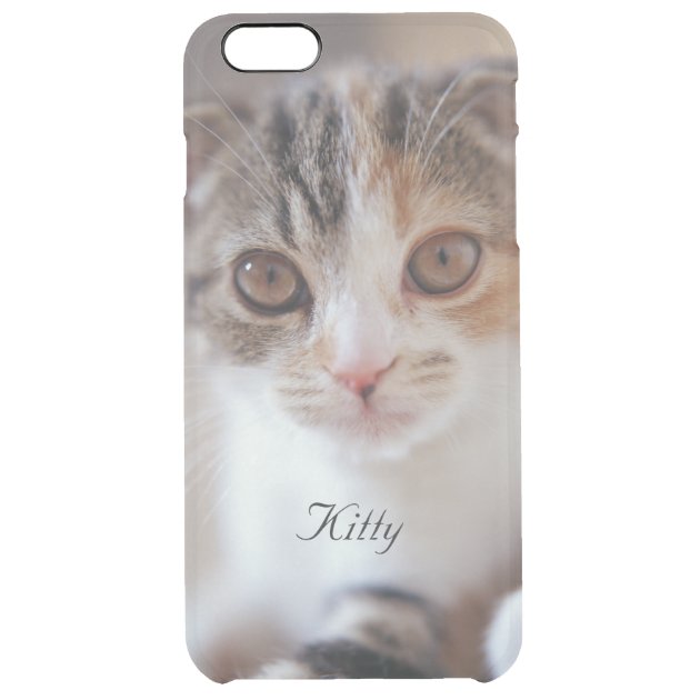 Cute Kitten Kitty Cat Photo Transparent Uncommon Clearlyâ„¢ Deflector iPhone 6 Plus Case