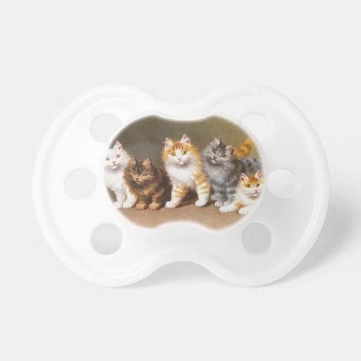 kitten pacifier toys