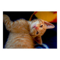 Cute Kitten Poster posters by thehatch Cute Kitten Poster posters