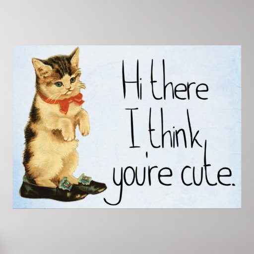 Cute Kitten Poster Zazzle