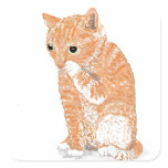 Cute Kitten  Products stickers