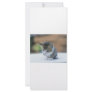 Cute Kitten Custom Rack Cards
