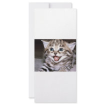 Cute Kitten rack cards by oddbob Cute Kitten rack cards