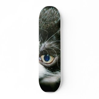 Cute Kitten skateboard