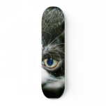 Cute Kitten Skateboard Deck