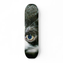 Cute Kitten skateboards by lifesphere Cute Kitten skateboards