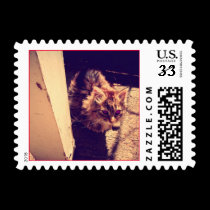 Cute Kitten Stamp
