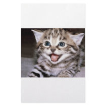 Cute Kitten stationery by oddbob Cute Kitten stationery
