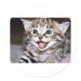 Cute Kitten Round Stickers