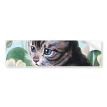 Cute kitten - vintage cat art bumper stickers