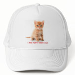 Cute Kitten with Charlie Sheen quote hats