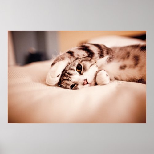 Cute Kitten with Paw over Face print