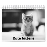 Cute kittens Calender Wall Calendar