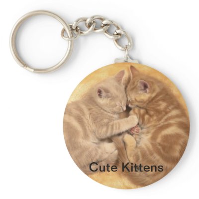 kitten key