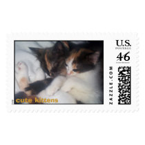 Cute Kittens postage