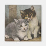 Cute Kittens Refrigerator Magnet