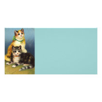 *Cute Kittens* Vintage photo cards