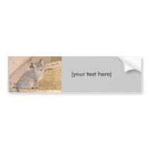 Cute Kitty bumper stickers by liz5384 Cute Kitty bumper stickers
